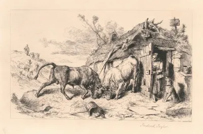 Two Bulls Fighting By A Cottage