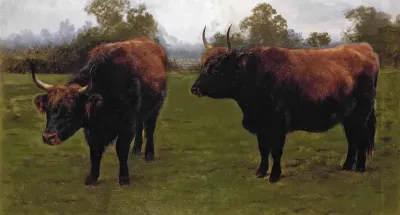 Two Bulls Grazing