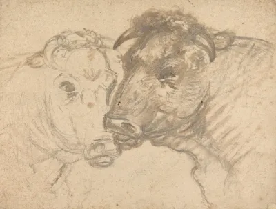 Two Bulls