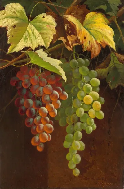 Two Bunches Of Grapes