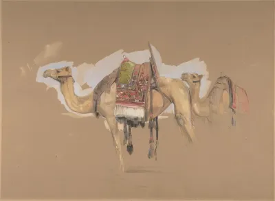 Two Camels 2