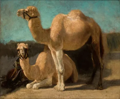 Two Camels 3