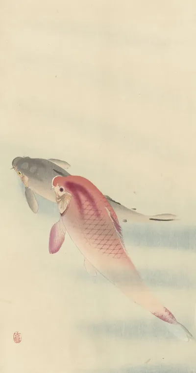 Two Carp