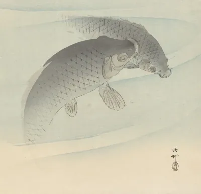Two Carps