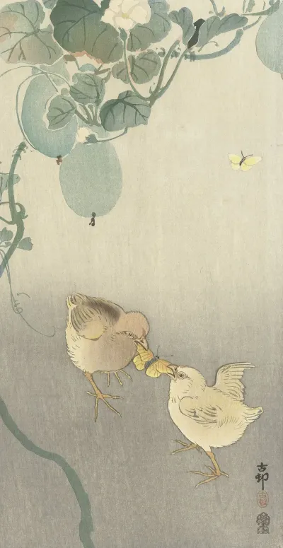 Two Chicks Fighting For Butterfly