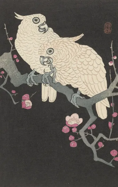 Two Cockatoo And Plum Blossom
