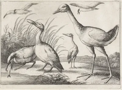 Two Cormorants One Of Them With A Fish In Its Beak A Heron And A Large Wading Bird In A River Landscape