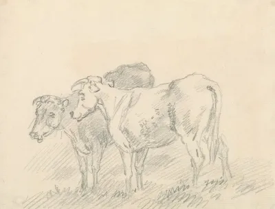 Two Cows 2