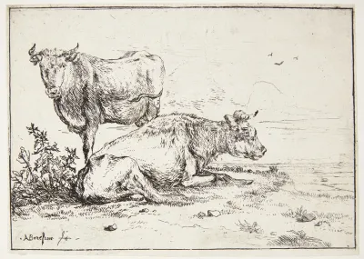 Two Cows 4
