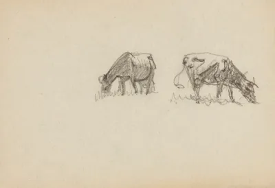 Two Cows 5