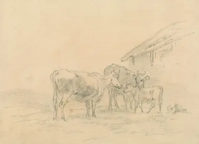 Two Cows And A Calf