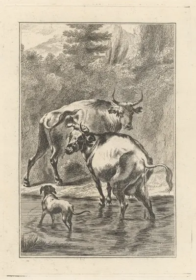 Two Cows And A Dog In A Stream