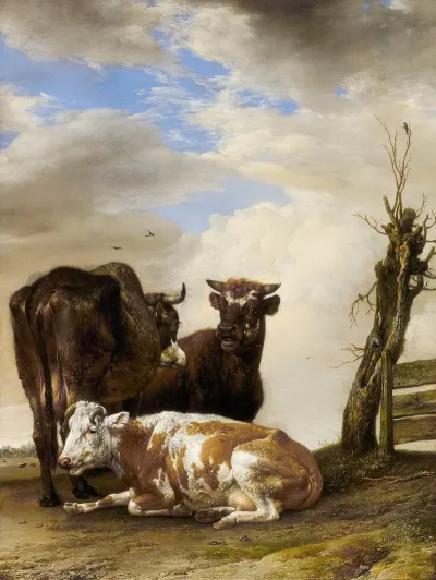 Two Cows And A Young Bull Beside A Fence In A Meadow