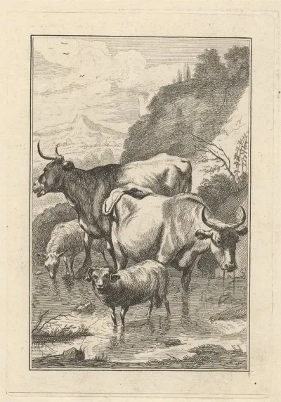 Two Cows And Two Sheep In A Stream