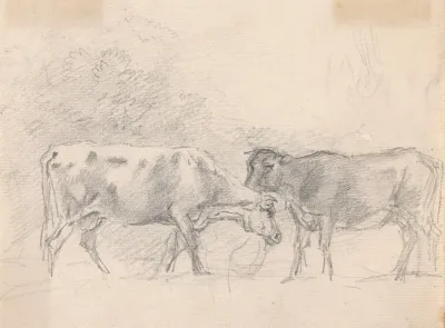 Two Cows Grazing 2