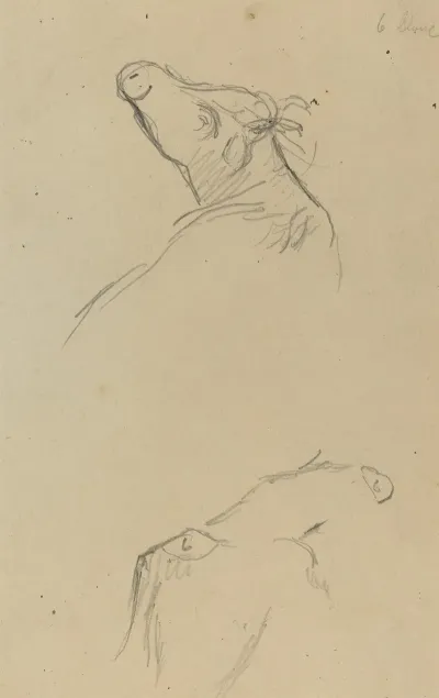 Two Cows Heads Verso