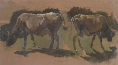 Two Cows In Albano