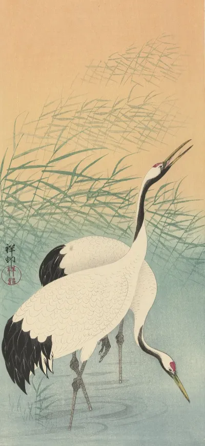 Two Cranes 2