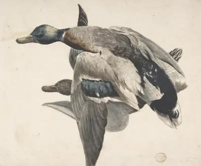 Two Dead Ducks 2