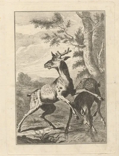 Two Deer 2