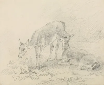 Two Deer 3