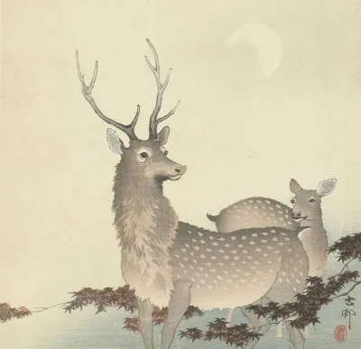 Two Deer