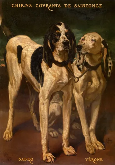 Two Dogs 5