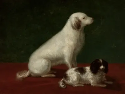 Two Dogs Miskon And Medorek