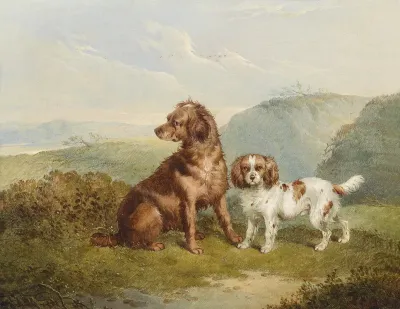 Two Dogs