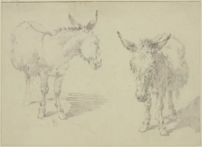 Two Donkeys 3
