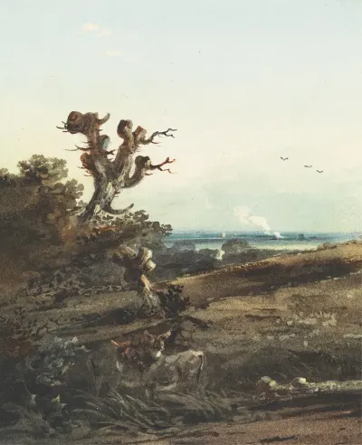 Two Donkeys In A Landscape
