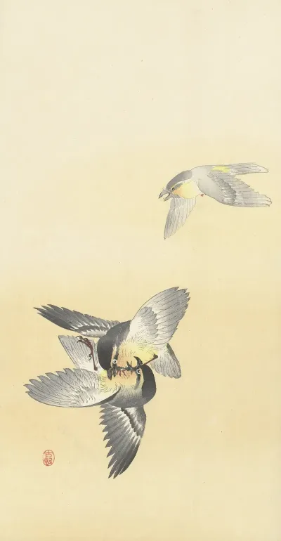 Two Fighting Birds