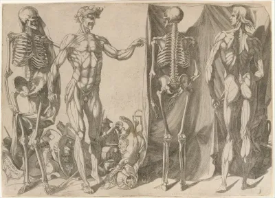 Two Flayed Men And Their Skeletons