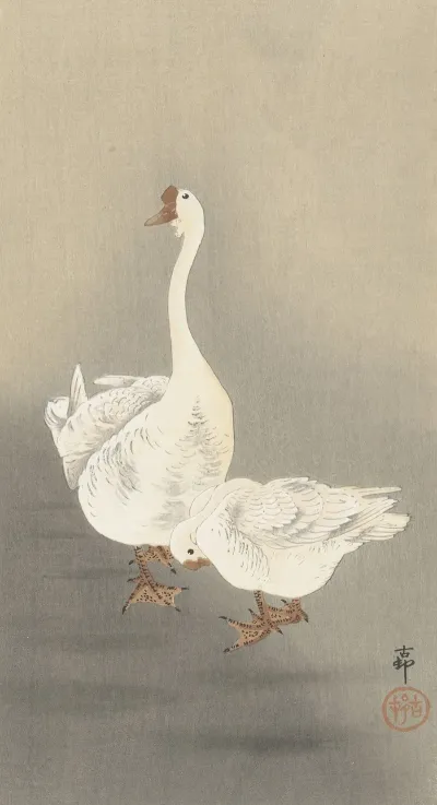 Two Geese 2
