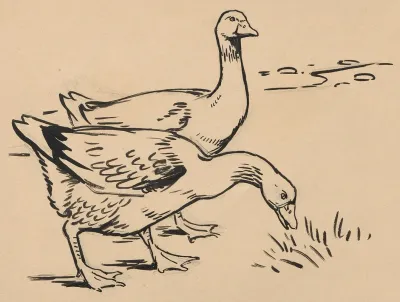 Two Geese 3
