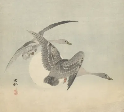 Two Geese In Flight