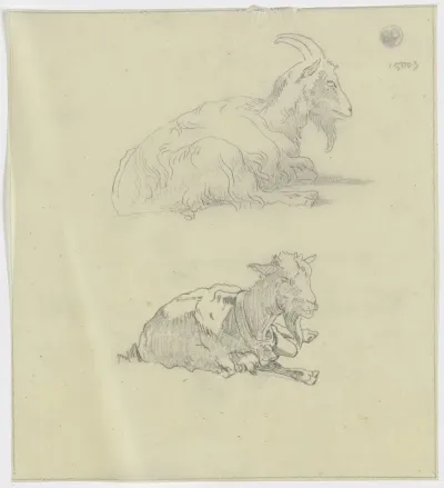 Two Goats 4