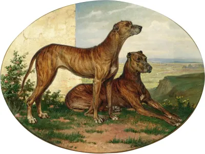 Two Great Danes In A Vast Landscape