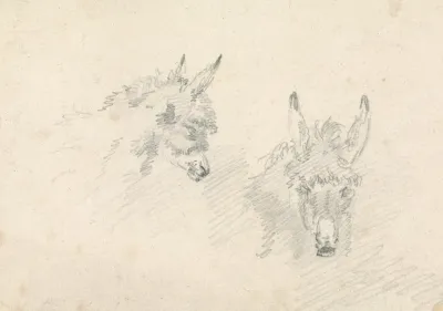 Two Heads Of Donkeys
