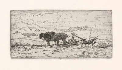 Two Horse Plow In Field