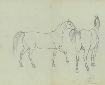 Two Horses 5