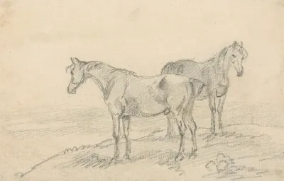 Two Horses 7