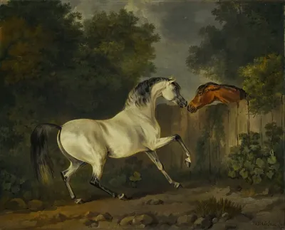 Two Horses By A Fence