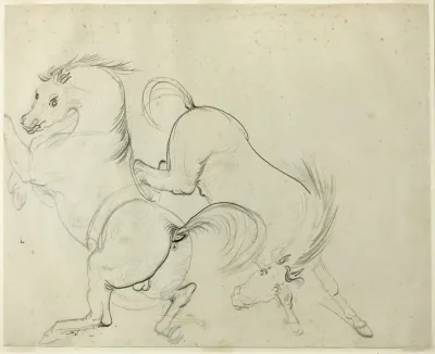 Two Horses Cavorting