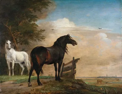 Two Horses In A Meadow Near A Gate