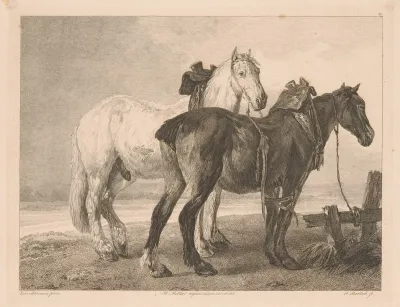 Two Horses In A River Landscape