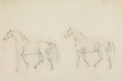 Two Horses Walking To Left