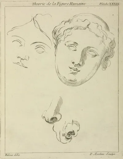 Two Human Female Faces And Two Noses One Human Animal