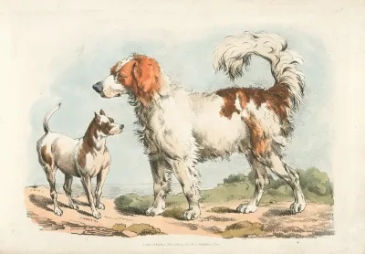 Two Hunting Dogs