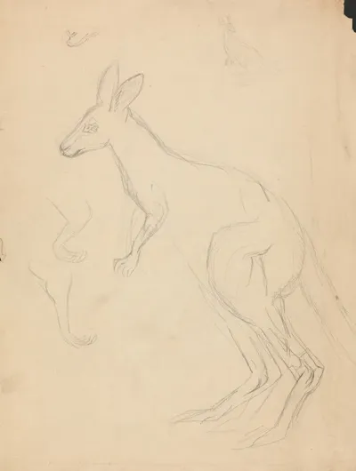 Two Kangaroos With Details 2